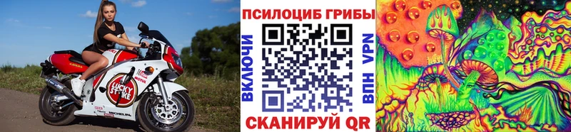 Купить закладки  Томск  Галлюциногенные грибы MAGIC MUSHROOMS 